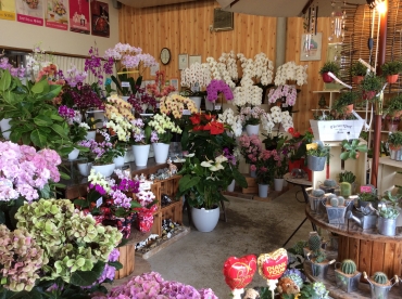 「フラワーショップひの」　（熊本県葦北郡芦北町）の花屋店舗写真1